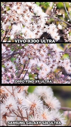 Samsung Galaxy S26 Ultra vs ViVO X300 ultra vs oppo find x9 ultra Camera Testing Best phone 2026