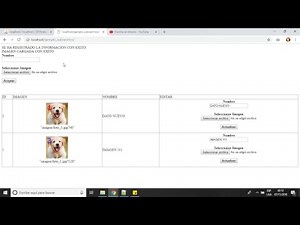 Cargar Imagen con PHP desde un Formulario HTML