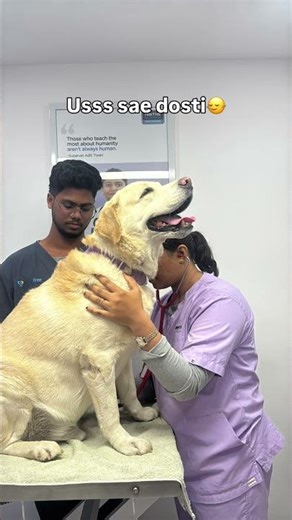 Nalayak Kutta hai Max 🤣