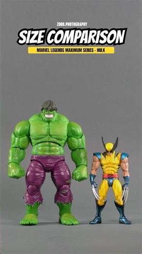 Size Comparison: Hasbro Marvel Legends Maximum Series - Hulk #marvel #marvellegends #hulk k