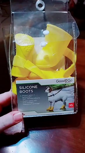 Samantha Harrison on TikTok