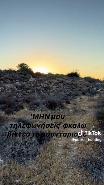 #hunterxhunter #cyprushunting #cyprus #dogs #greece #pippinouthkia