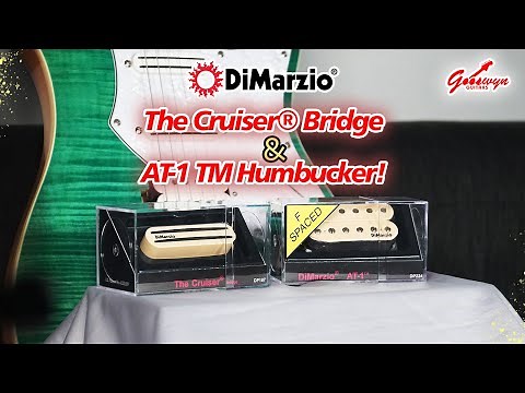 Sound Demo of Dimarzio AT Humbucker & The Cruiser (Andy Timmons Pickup Set)