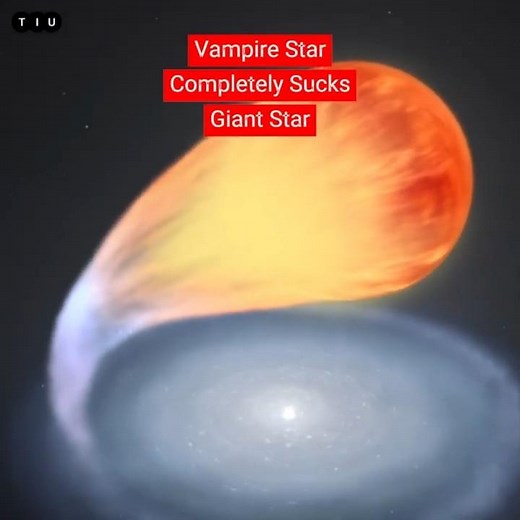 Amazing NASA Finds VAMPIRE STAR in SPACE #supernova #universe #space #whitedwarf #shorts