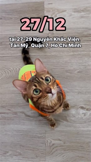 The last event of 2025 from Méo Meo is: Titan the Giant Tortoise! Come check her out 14:00-17:00 today at Méo Meo Cat Cafe D7 branch!!! 🐢🐢🐢🐢🐢 (She appears only ONCE per month) ——————————— 𝐌𝐄𝐎 𝐌𝐄𝐎 𝐂𝐀𝐓 𝐂𝐀𝐅𝐄 - 𝐑𝐎𝐎𝐅𝐓𝐎𝐏 & 𝐂𝐀𝐓 𝐂𝐎𝐅𝐅𝐄𝐄 📍 𝐀𝐝𝐝 𝟏: 27-29 Nguyễn Khắc Viện, P. Tân Mỹ, (Q.7), TP. HCM ⏰ 𝗢𝗽𝗲𝗻𝗶𝗻𝗴: 9:30 AM - 10:00 PM (Thứ 2 - Chủ nhật) — 📍 𝐀𝐝𝐝 𝟐: 30 Phan Bội Châu, P. Bến Thành, (Q.1), TP. HCM ⏰ 𝗢𝗽𝗲𝗻𝗶𝗻𝗴: 8:30 AM - 10:00 PM (Thứ 2 - Chủ nhật)