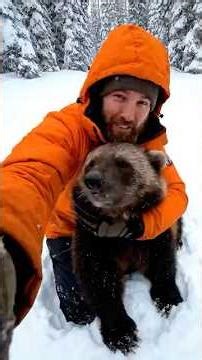 He Saved a Wolverine — Alaska’s Wild Nature Never Forgot #kindness #wildanimals