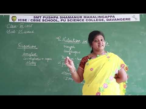 01.NUTRITION IN ANIMALS