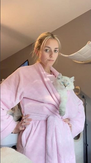 What's your favorite Ragdoll color patterns?