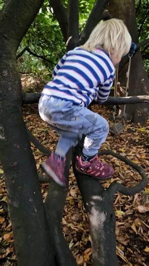 Tree climbing is a core part of the experience at Nature Kindergarten. We hold back from assisting children to climb higher than they can manage alone because the ability to descend unaided is a crucial part of developing their self-reliance and safety awareness. This little one explained to me how they got up and kept practising, so they knew which way to get back down. #treeclimbing #naturekindergarten #childhoodunplugged #earlyyearsoutdoors #childrenoftheforest #climbing #physicaldevelopment 