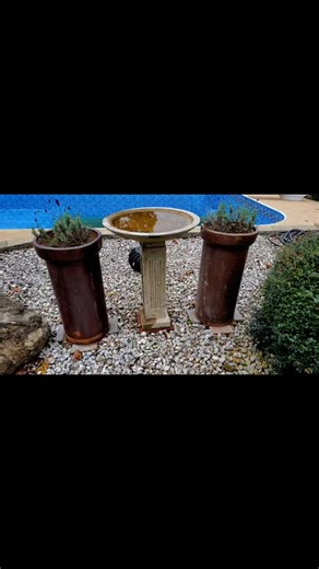 Untold millions of gallons of Spring Valley spring water used to flow through these clay pipes decades ago, supplying Bentonville and Bella Vista with water. These pipes weigh 100 pounds each and are decades older than me. Sometimes, when it floods here, it unearths one or two, and I bring them to the house to repurpose as planters. | Bill May