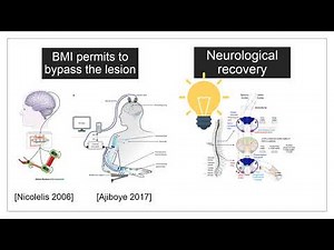 BCI Award 2019 Nomination: The Walk Again Neurorehabilitation Protocol