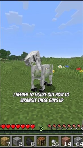 What the Heck are These Things???