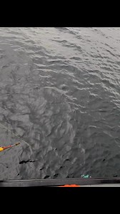 200K views · 2.9K reactions | Saltwater Safari - Fishing in Seward, Alaska on Reels | Facebook