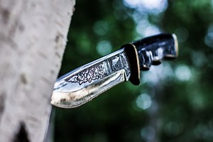 If You Only Had One Knife To Survive - Prepper.com