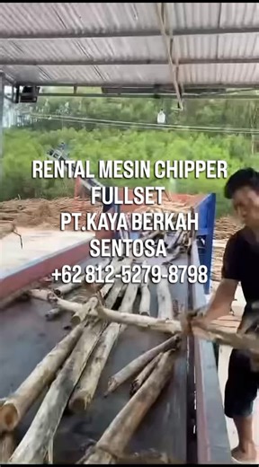 RENTAL MESIN CHIPPER FULLSET PT.KAYA BERKAH SENTOSA 62 812-5279-8798 #semuaorang #kayupinus #kayuakasia #mesinchipper #woodchip #pltu #biomass | Cahya Nalendra