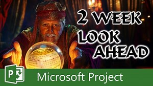 2-Week Lookahead: Two Options in Microsoft Project | Dale Howard