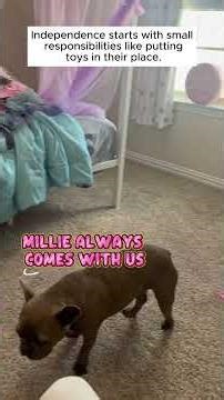 Little hands, big responsibility ✨