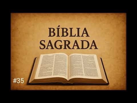 Números | Capítulo 35 | Audiobook