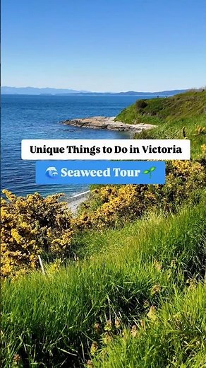 Unique Things to Do in Victoria: Seaweed Tour 🌊🌱