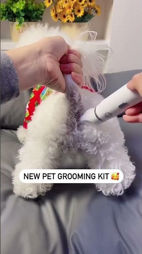 Bichon Frise Grooming & Care Set – 4-in-1 Salon at Home