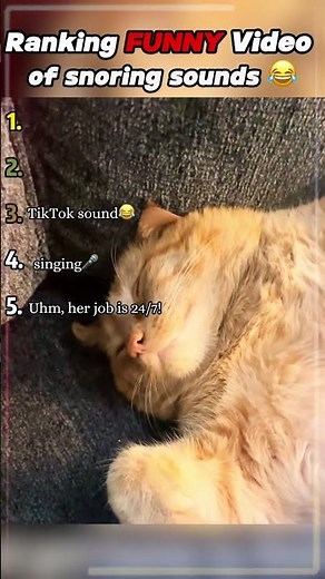 💗The funniest snoring sounds 😂 #snoringsounds #snoring #memes #tiktok
