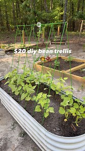Kassie / Georgia Girl on Instagram: "Have you looked for a bean trellis lately? They are flimsy junk and so expensive! This $20 trellis is such an easy DIY plus they are super sturdy and will last year to year. Comment “BEANS” and I’ll send you a link so you can make your own! #beantrellis #diygardening #diy #gardenhacks #growingmyownfood"