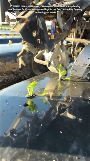 How Amazing Automated Planters Are Revolutionizing Modern Farming Techniques?