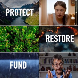 10M views · 63K reactions | Environmental activists Greta Thunberg and George Monbiot argue we need to restore natural carbon sinks such as forests, swamps and seabeds to help tackle the climate crisis in this powerful independent film by @tommustill of Gripping Films. Find out more at naturalclimate.solutions #naturenow | The Guardian | Facebook