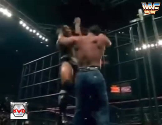 42K views · 620 reactions | HHH vs The Rock: WWE championship steel cage match. | New World Organization of Wrestling | Facebook