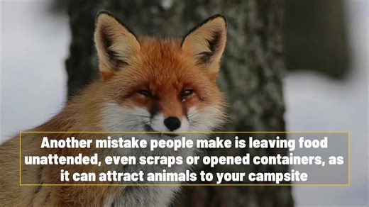 Camp Smart: Avoid these common camping pitfalls