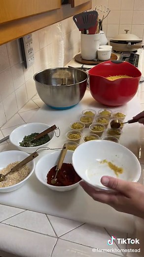 #diy #howto #homestead #fypシ #prepper #beprepared #garden #gardener #homemade #homegrown #prepare #winterawarenessmonth