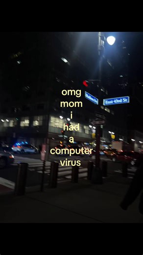 Navigating a Computer Virus Incident