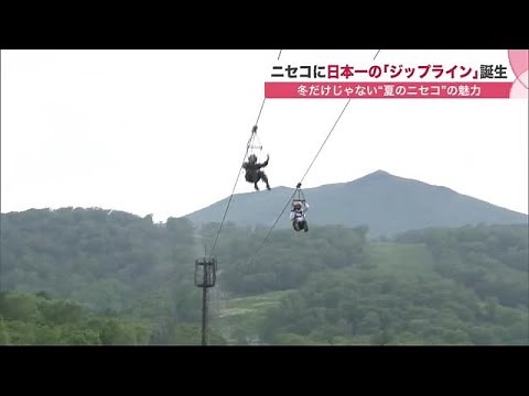 Japan’s Longest 1,700m Zipline Experience: 2 Minutes at 62 mph… Niseko’s Addictive New Attraction...