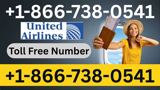 United Airlines® Customer Service: How to Contact United Airlines ® | 24/7 Live Help & Support