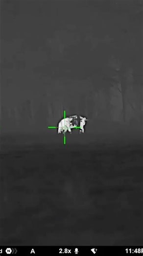 Pulsar Thermion 2 XL60 LRF #pulsar #thermion2xl60lrf #thermalhunting #hunting #hoghunting #hogs #fyp