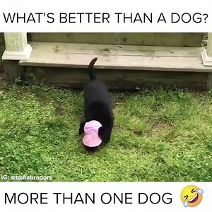 131K views · 5.5K shares | Do you agree? | Woof | Facebook