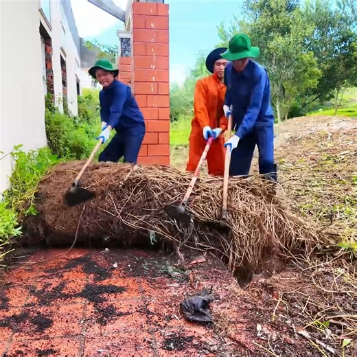 Inside the Forgotten Hotel: What We Found Was Unbelievable P3 #cleaning #cleanup #cleanthehouse #gardening #cleanabandonedhouse | Clean The Old House
