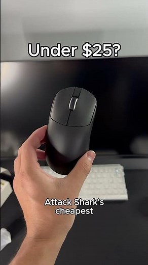 why is this mouse SO cheap?