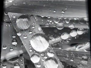 4.8K views · 98 reactions | Pooh ~Storia di una lacrima ~ | Canzoni dimenticate | Facebook