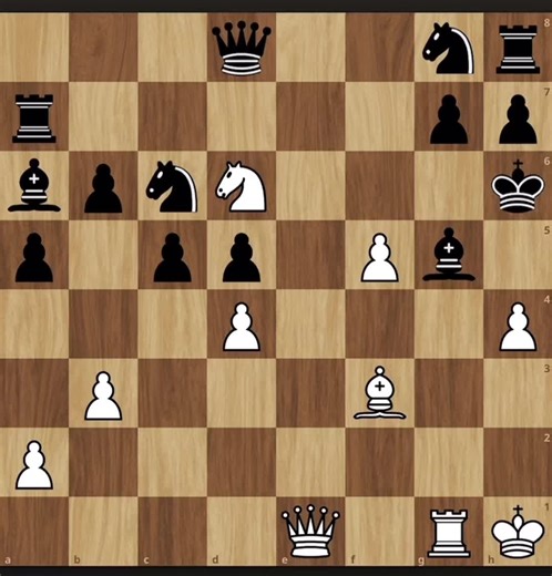 #chesstraps #chesstok #chessmaster #chesstiktokers