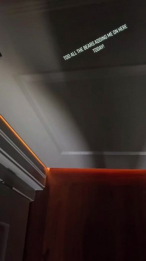 Y’all know who you are😂🥰and ive been on this app way too long today. But you all be amazing #bicub #gaybears #gaycub #cublife #okimdoneineedtostop