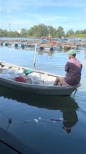 He's Full Experient in Fish Farm