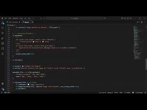 Apprendre le Machine Learning avec un projet réel : Chat vs Chien (Python)
