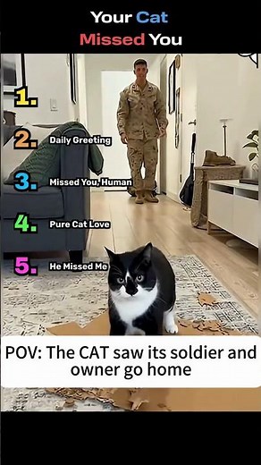 This Cat's Reaction to Her Owner Returning Will Break You #emotional #soldiers #cats #catcare
