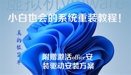 小白也会的专业重装系统！无广告，还你一个最纯净的系统