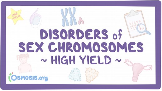 Disorders of sex chromosomes: Pathology review: Video, Causes, & Meaning | Osmosis