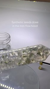 2.9K views · 61 reactions | Synthetic seeds, also known as...