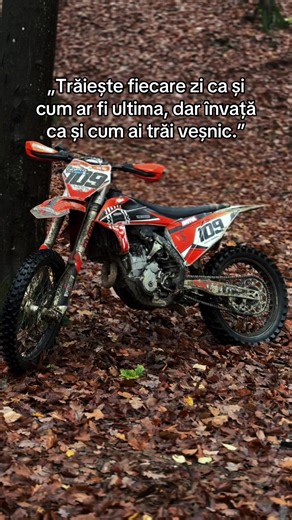 Videoclipuri postate de Alex.vdi (@alex_vedinas) cu sunet original - JOHNNY MUSIC