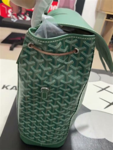 Goyard backpack green