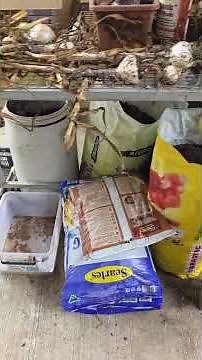 Air drying garlic herbs under drip from cold room